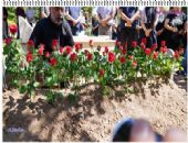 Mer. Sat SEVM'in Defin Sreci - Malatya Fethiye